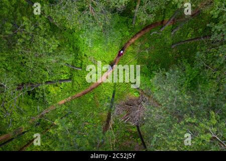 Aerial view of a man and woman mountain biking through the forest, Klagenfurt, Carinthia, Austria Stock Photo