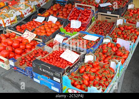 Trieste, Italy - October 14, 2014: Fresh Italian Tomato Selection at Market Stall in Trieste, Italy. Stock Photo