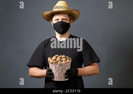 A farmer in a straw hat and a protective mask holds in his hands a wicker basket with walnuts. On a gray background. Harvest during the 2020 pandemic. Stock Photo