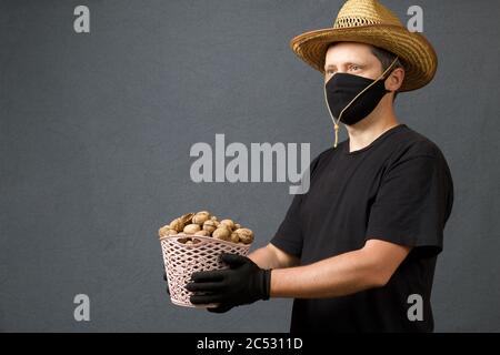 A farmer in a straw hat and a protective mask holds in his hands a wicker basket with walnuts. On a gray background. Harvest during the 2020 pandemic. Stock Photo