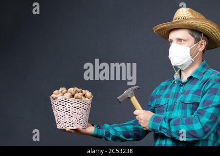 A man holds in his hands a basket with walnuts and a hammer. Farmer with a protective mask on his face. There is a straw hat on his head. Shot on a gr Stock Photo