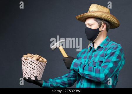 A man holds in his hands a basket with walnuts and a hammer. Farmer with a protective mask on his face. There is a straw hat on his head. Shot on a gr Stock Photo