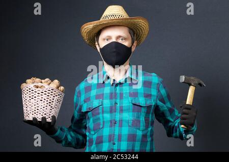A man holds in his hands a basket with walnuts and a hammer. Farmer with a protective mask on his face. There is a straw hat on his head. Shot on a gr Stock Photo