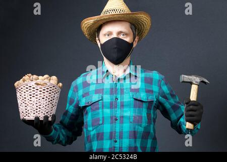 A man holds in his hands a basket with walnuts and a hammer. Farmer with a protective mask on his face. There is a straw hat on his head. Shot on a gr Stock Photo