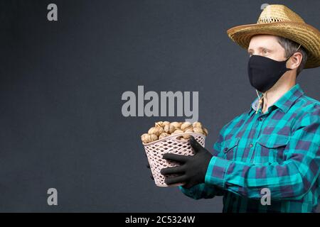 A man holds in his hands a basket with walnuts. Farmer with a protective mask on his face. There is a straw hat on his head. Shot on a gray background Stock Photo