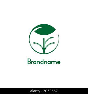 Plant tree with circular leaf, vector illustration of environmental and agricultural logos. Stock Vector