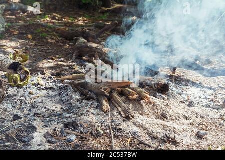 Smoke from the coals of a non-burning bonfire. Selective focus Stock Photo