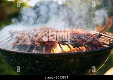 Grilling chicken meat on barbecue at garden during summer day. Stock Photo