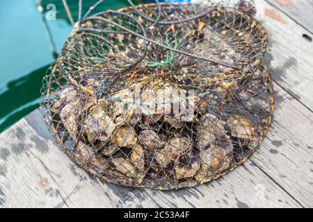Pearl farm in Halong bay, Vietnam in a summer day Stock Photo