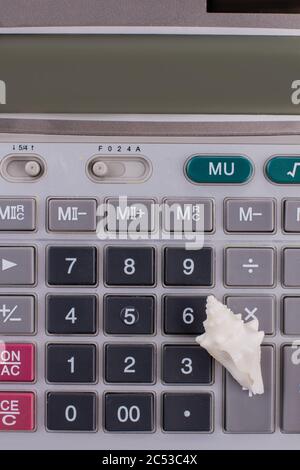 Close-up calculator and little seashell on it. Stock Photo