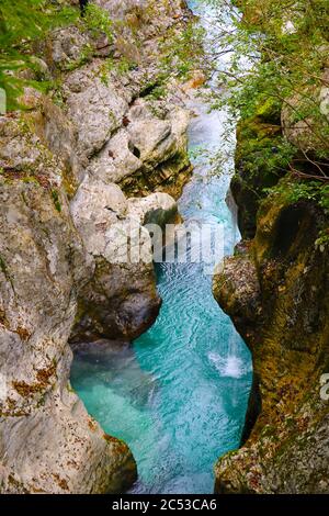 Triglav national park in Slovenia: mountains, emerald rivers, forests Stock Photo