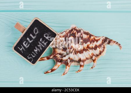 Close-up little seashell with sign Hello sea on blue background. Stock Photo