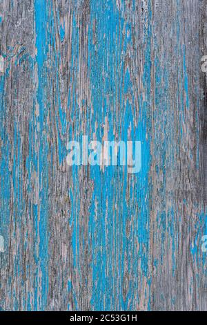 Close up of weathered and worn wooden panel with blue flaking paint Stock Photo