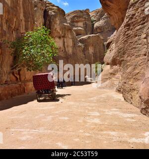PETRA, JORDAN - APR 1, 2015: Tourists walking in Siq canyon in Petra. Petra's temples, tombs, theaters and other buildings are scattered over 400 squa Stock Photo