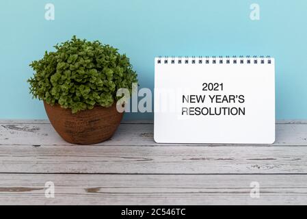 2021 New year's Resolution text on paper with potted plant Stock Photo