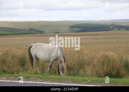 The backroads of North-Wales Stock Photo