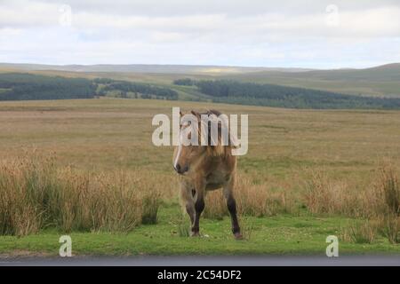 The backroads of North-Wales Stock Photo