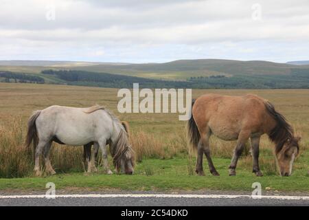 The backroads of North-Wales Stock Photo