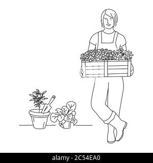 Line drawing of gardener woman with a box of flowers in the garden. Vector illustration. Stock Vector