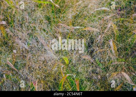 Colourful textured background Stock Photo