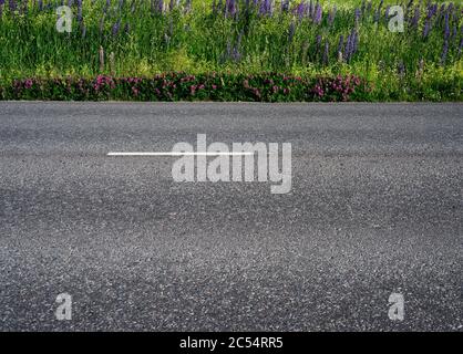 asphalt road along the field somewhere in Finland, in the middle of summer Stock Photo