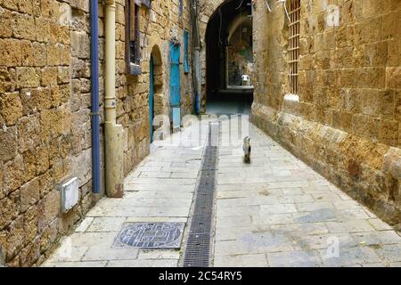 Narrow street in the arab quarter of the old city of Akko, Israel Stock Photo