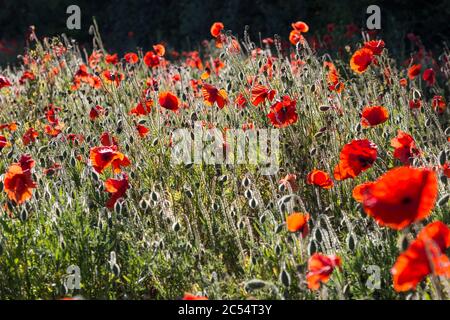 Colourful textured background Stock Photo