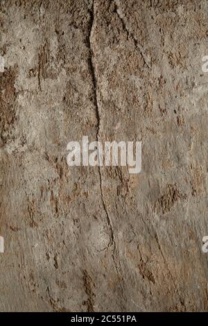 WOOD TEXTURED OLD BACKGROUND Stock Photo