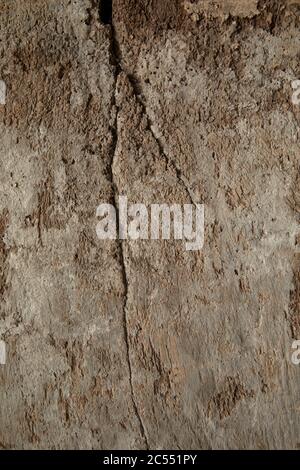 WOOD TEXTURED OLD BACKGROUND Stock Photo