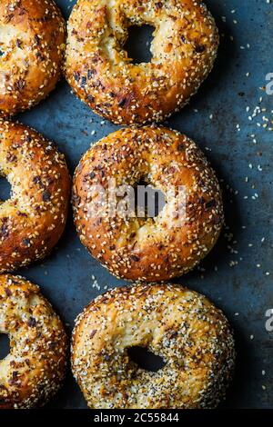 Everything Bagels Stock Photo