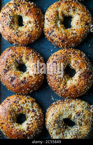 Everything Bagels Stock Photo