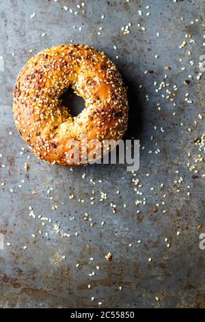 Everything Bagels Stock Photo