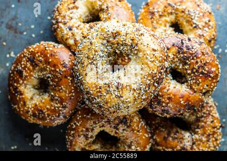 Everything Bagels Stock Photo