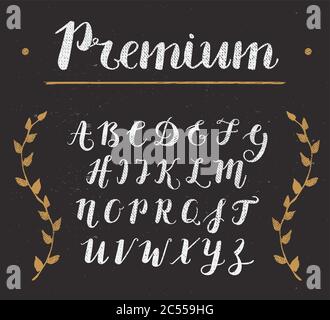 Vector Hand Drawn Script Alphabet. Letters Written with a Brush Pen with Ink Stock Vector