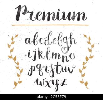 Vector Hand Drawn Script Alphabet. Letters Written with a Brush Pen with Ink Stock Vector