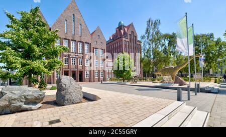 Natural History Museum, Zoology, Museum, Braunschweig, Lower Saxony, Germany, Europe Stock Photo