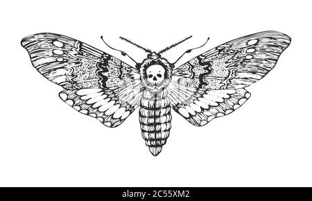 Pixel 8 bit set butterfly. Animal for game assets in vector ...