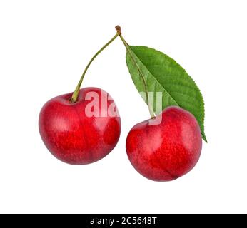 Two red ripe cherry with leaf isolated on white background Stock Photo
