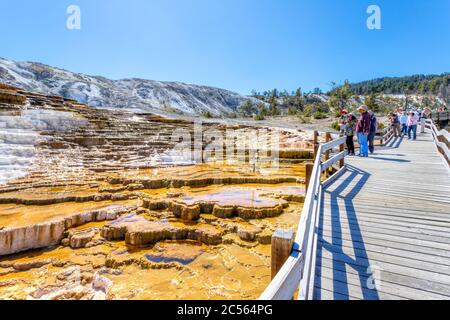 Wyoming, USA - Aug. 28, 2019: Visitors admiring Jupiter and Mound Terraces along the boardwalk at Mammoth Hot Springs in Yellowstone National Park, wh Stock Photo