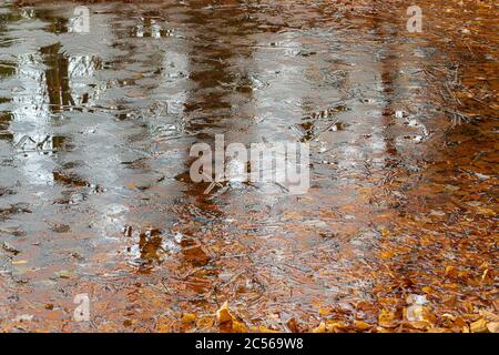 Onset of winter, water surface freezes over Stock Photo