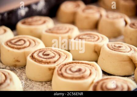 Tray of unbaked cinnamon rolls, ready to go into the oven. Stock Photo