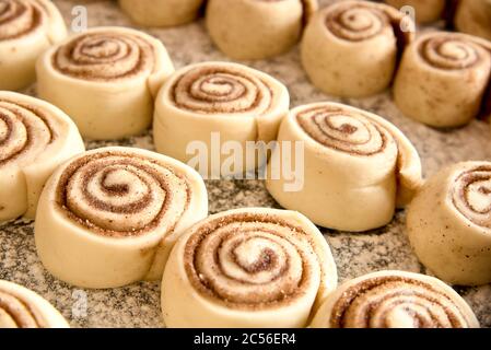 Homemade cinnamon rolls before baking, placed in rows on an oven tray Stock Photo