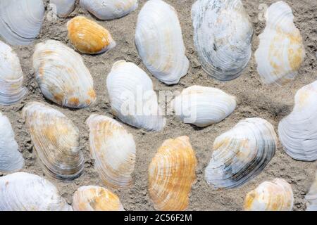 Germany, North Sea, sand goblets on the beach. Stock Photo