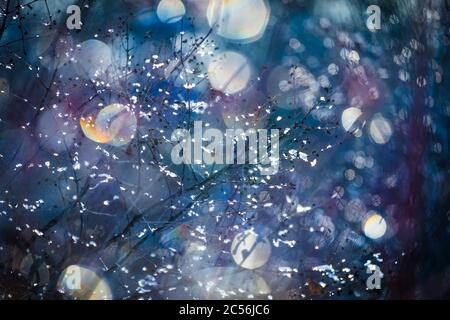 Defocused bokeh beautiful colorful art background - photo of branch without leaves covered with ice on a sunny winter day. Backdrop Stock Photo