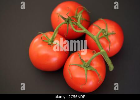 Four fresh eco bio organic tomatoes with green branch twig close up isolated on black background Stock Photo