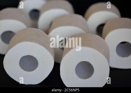 Rolls of white toilet paper Stock Photo