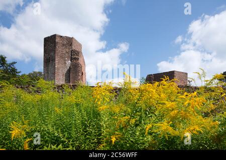 St. Michael Abbey Ruins, Heiligenberg, Heidelberg, Baden-Wuerttemberg, Germany, Europe Stock Photo