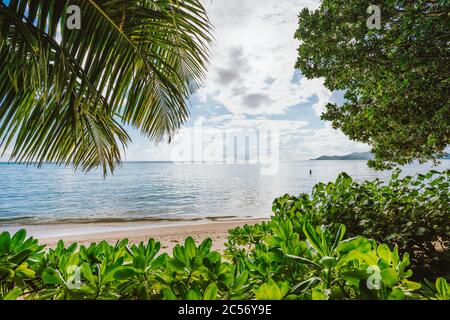 Evening at La Digue Island, Seychelles. Summer vacations holidays in paradise surrounded by tropical vegetation. Stock Photo