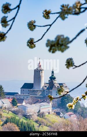 Forchtenstein: Forchtenstein Castle, cherry trees flowering, blossoming ...