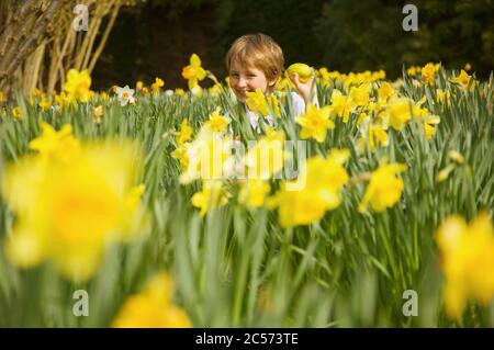 Portrait happy boy enjoying Easter egg hunt in field of yellow daffodils Stock Photo